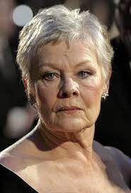 Judi dench, british actress known for her numerous and varied tv, stage, and film roles. Judi Dench Wikipedia