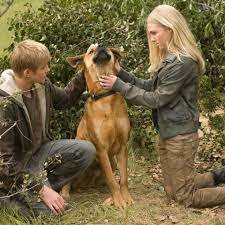 Despite of that, i liked. Race To Witch Mountain Cursa Spre Witch Mountain 2009 Film Cinemagia Ro