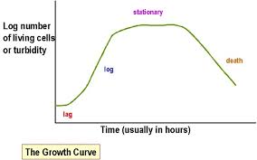 We did not find results for: Bacterial Growth Curve Phases Significance Microbe Online