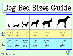 For more info about how to use and set up a pocket hole jig, please check out my quick start guide to pocket hole joinery. 5 Cheap N Easy Dog Beds Diys With Plans Patchpuppy Com