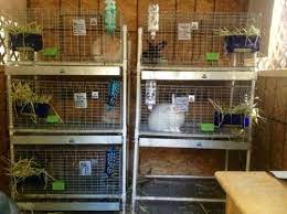 As you can imagine the following rabbit hutch plans is a super simple diy plan and that is all truth, it has nothing to do with it being featured on simple easy diy. Diy Rabbit Cage Rack Tutorial Diy Rabbit Cage Wire Rabbit Cages Rabbit Cages