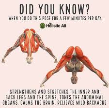 Pin By Mike Haris On Fitness Yoga Benefits Health Fitness Health