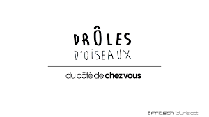 Maybe you would like to learn more about one of these? Du Cote De Chez Vous Droles D Oiseaux Mon 1er Nid On Behance