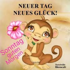 Ich will nicht aufstehen! da wir dieses gefühl auch kennen, haben wir dir hier die schönsten jetzt aber zackig und mit schwung in den tag! Schonen Sonntag Kaffee Bilder Und Spruche Fur Whatsapp Und Facebook Kostenlos