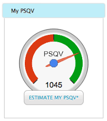 Meet My Psqv By The 5th Of Each Month Dream Board Chart