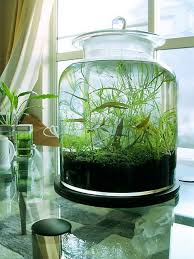 25 Incredible Indoor Water Garden Design And Decor Ideas For Small Home Inspiration Indoor Water Garden Garden Solutions Water Garden