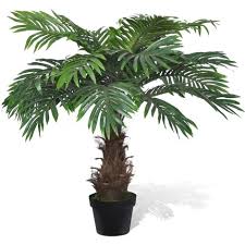 Or, questions about how to incorporate palm tree home accessories into your home's decor? Lifelike Artificial Cycus Palm Tree With Pot 80 Cm