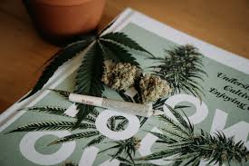 Cannabis and Mindfulness — Snow Lake Counseling