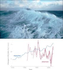 southern ocean carbon sink