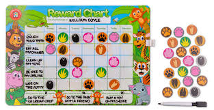 Educational Colours Magnetic Reward Chart Jungle