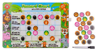 educational colours magnetic reward chart jungle