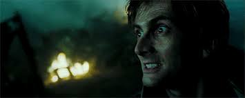 He was only featured in one book, but he put so much in motion that affected the rest of the series. Pin On Potterhead