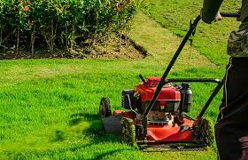 Have you been searching for a reliable lawn service company in the area? Best Lawn Care Service Archives Artalacarte