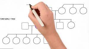 Family history is a key part of evaluating your patient's genetic health and determining if genetic . How To Draw A Family Tree Part 2 Advanced Youtube