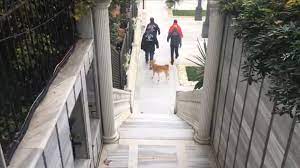 82 milyon dolarlık bu satın alma sonrası kıraça holding'de tek parçada en büyük hissedar sezgin baran korkmaz'ın yönetim kurulu başkanlığını yürüttüğü sbk holding'e geçmiş oldu. Sbk Holding E Yonelik Kara Para Aklama Sorusturmasi Suruyor