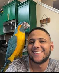 💜💜REUNITED!💜💜 LOST: BLUE-THROATED MACAW MARCH 13, 2025 COPPERAS COVE,  Coryell County, TX 76522 CONTACT: GERMI ORTIZ  https://www.facebook.com/share/1A3u99ioPG/ Missing pet: our boy is missing  he flew away around 1:30 PM if you have