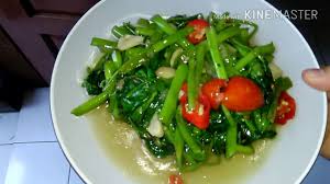 Biaya member 100k se umur hidup chat whatsaap 089653437629 | twuko. Tumis Kangkung Youtube