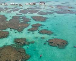 Imagem de Piscinas naturais de Maragogi