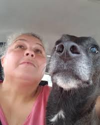 Montego Bay Animal Haven telah...