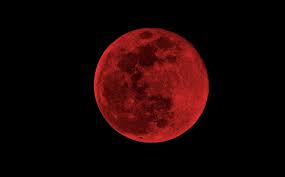 3 razones por las que el eclipse de 'super flower blood moon' de mayo de 2021 será un gran negocio. Superluna De Sangre Sera La Ultima Hasta 2021