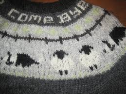 Close Up Of The Border Collie And Sheep Pattern