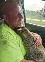 Thank you to everyone who shared camera footage