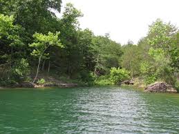 Waterfront Lot On Quiet Cove Great Vacation Spots Table Rock Lake Waterfront