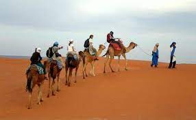 We pride ourselves in providing high quality services including the following: 5 Day From Fes To Marrakech With Morocco Camel Trekking Merzouga Review Of Morocco Camel Trekking Merzouga Fes Morocco Tripadvisor