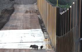 We did not find results for: Le Mur De Trump Menace La Biodiversite Le Devoir