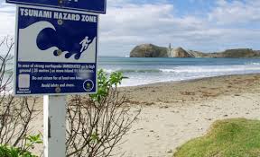 Gns science maintains and monitors these sites, and reports its data on the geonet website. Tsunami National Emergency Management Agency