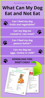 What Can Dogs Eat And Not Eat Can Dogs Eat Foods Dogs Can Eat Dog Eating