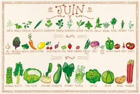 Calendrier De Juin Calendrier Fruits Et Legumes Fruits Et Legumes De Saison Fruits Et Legumes