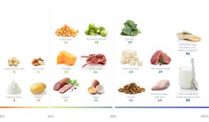 High fiber snacks for weight loss: The Best High Protein Foods For Weight Loss Diet Doctor