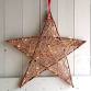 make a willow star event image