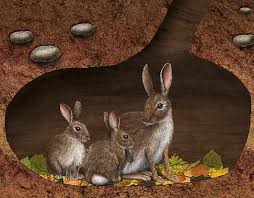 Houghton Mifflin Science Cricket Connections Underground Illustration Rabbit Habitat Animal Illustration