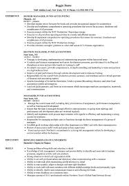 Director of finance _____ position summary: Manager Fund Accounting Resume Samples Velvet Jobs