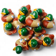 Amazon.com: Mallard Rubber Duckies