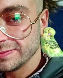 Pietro Amore (@pietro_amore) • Instagram photos and videos