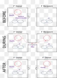 Check spelling or type a new query. Mundo Longitud La Latitud Imagen Png Imagen Transparente Descarga Gratuita