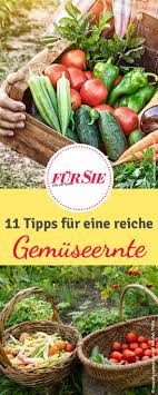 Reiche Gemuseernte Tipps Fur Selbstversorger Selbstversorger Garten Gemuseanbau In Kubeln Ernte