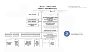 Reorganizare ProfundÄƒ La Ministerul Muncii Si ProtecÅ£iei Sociale Violeta Alexandru Spune Cu Cat Va Fi Redus NumÄƒrul De AngajaÅ£i