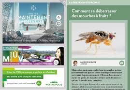 Comment Se Debarrasser Des Mouches A Fruit La Presse