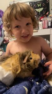 Regrowing scallions in a cage in the unit