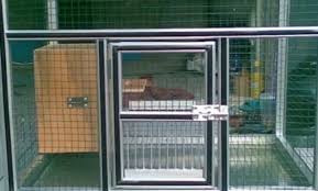 Cara pembuatan pakan ternak lovebird dari milet: Mengenal Jenis Kandang Ternak Lovebird Yang Bagus