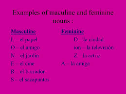 In this video, there is a list of spanish adjectives that start with r. Adjectives In Spanish Los Adjetivos En Espanol Adjectives Are Like Mirrors They Reflect The Gender And Number Of The Noun They Modify Adjective Noun Ppt Download