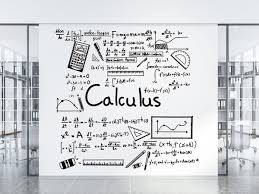 Calculus Graffiti Doodle Decal, Math Wall Stickers for School Wall  Decor-mathematical Graffiti Wall Stikcer - Calss Room Wall Decor - Etsy