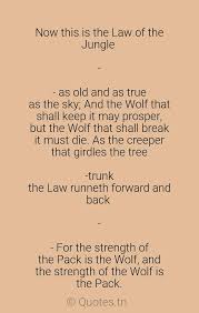 Survival of the strongest, as in the recent price war among airlines was governed by the law of the jungle. Now This Is The Law Of The Jungle As Old And As True As The Sky And The Wolf That Shall Keep It May Prosper But The Wolf That Shall Break