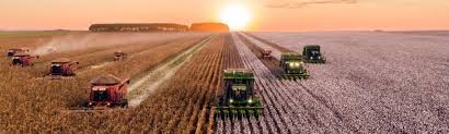 Información de los cultivos principales de la actividad agrícola de méxico, así como de las características de la forma de producción, que realizaron las unidades agrícolas que intervinieron. Tipos De Suelo Para Agricultura Probelte
