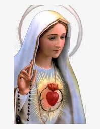 The best selection of royalty free fatima vector art, graphics and stock illustrations. Virgen De Fatima Png Transparent Png 594x976 Free Download On Nicepng
