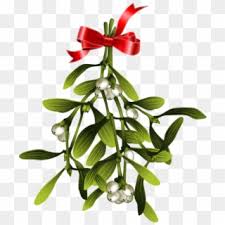 Christmas Wish Mistletoe Clipart 1016526 Pikpng Download 12,517 mistletoe free vectors. christmas wish mistletoe clipart